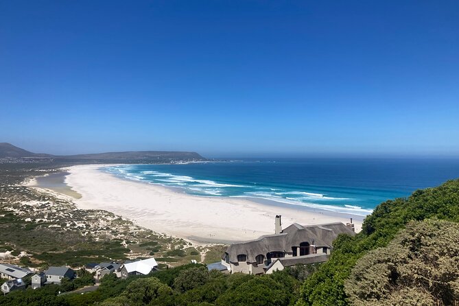 Cape Town: Peninsula, Cape of Good Hope and Penguins Tour - Michele’s guiding style is part of the experience