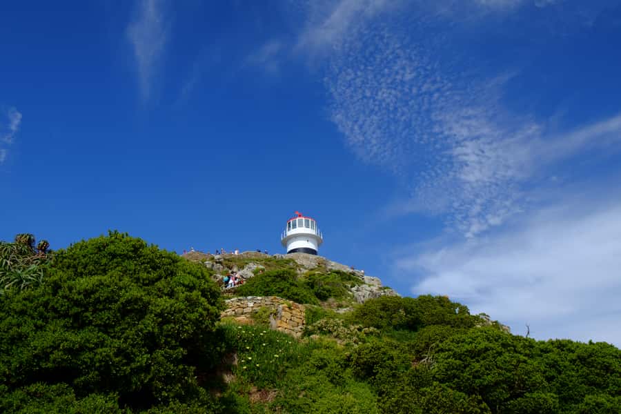 Cape Town: Peninsula, Penguins & Cape of Good Hope Day Tour - Key points to know before booking