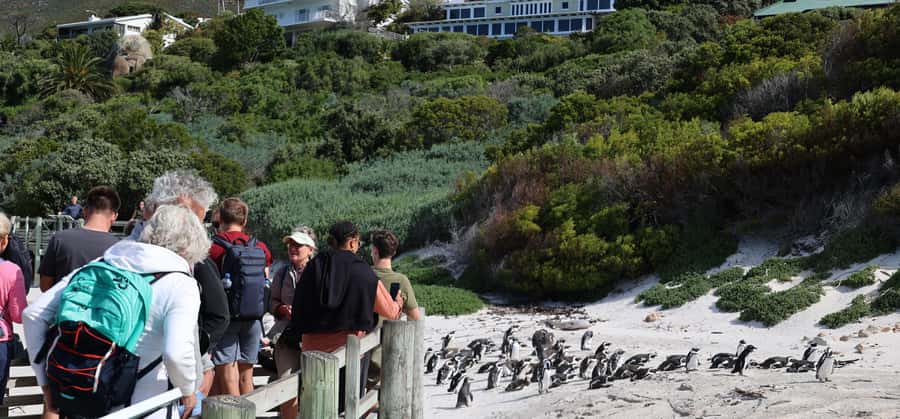 Cape Town: Peninsula, Penguins & Cape of Good Hope Day Tour - Hout Bay and the optional Seal Island cruise