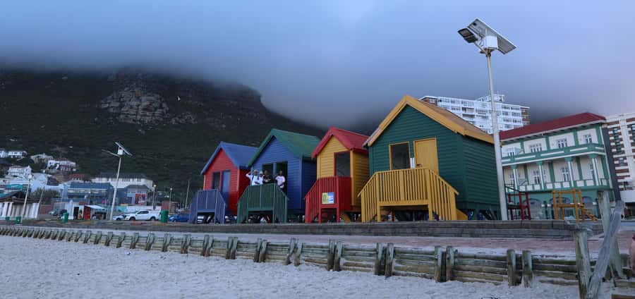 Cape Town: Peninsula, Penguins & Cape of Good Hope Day Tour - The guide can shape the whole day