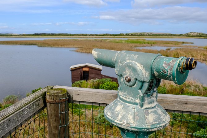 Cape Town Private Birding Tour - What the $115.45 price really covers