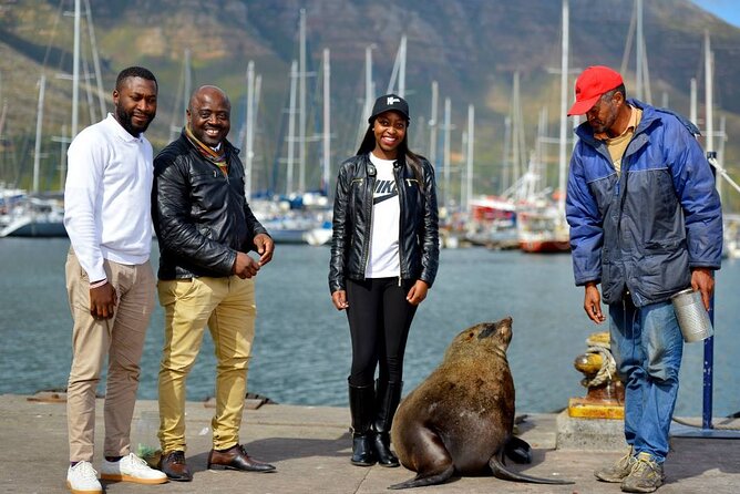 Cape Town Private Group Tour to Cape of Good Hope and Boulders Penguins Colony - Noordhoek and Cape Point Vineyards
