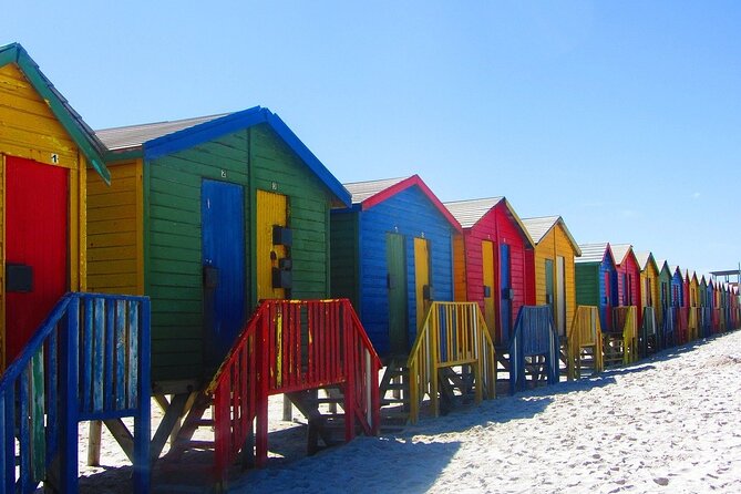 Cape Town Private Group Tour to Cape of Good Hope and Boulders Penguins Colony - Boulders Beach and the African penguins