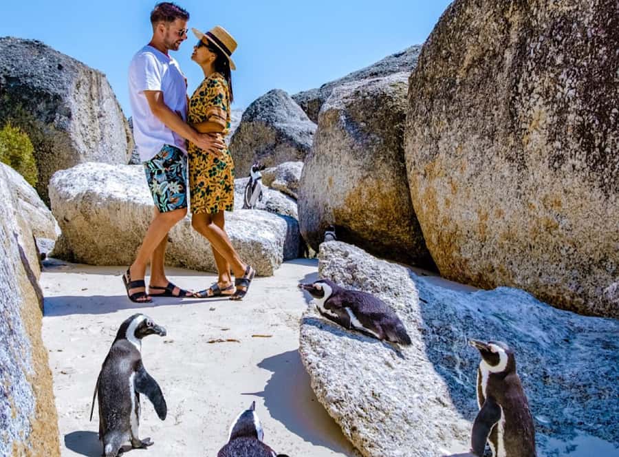 Cape Town Private Tour to Cape Of Good Hope and the Penguins - Camps Bay and Hout Bay: polished coast, working harbor