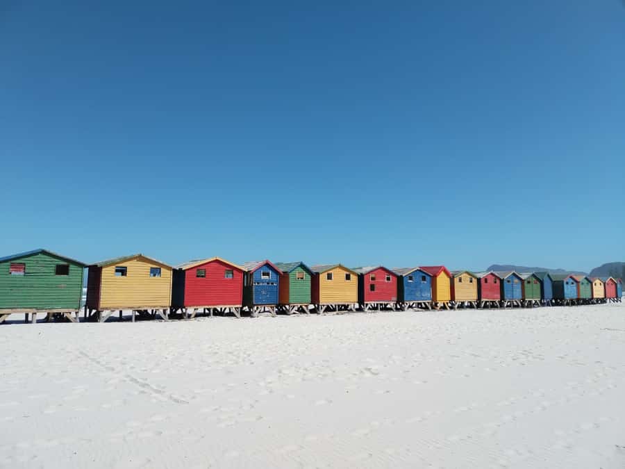 Cape Town: Seal Island, Cape of Good Hope& Penguins Private - Chapman’s Peak, one curve after another