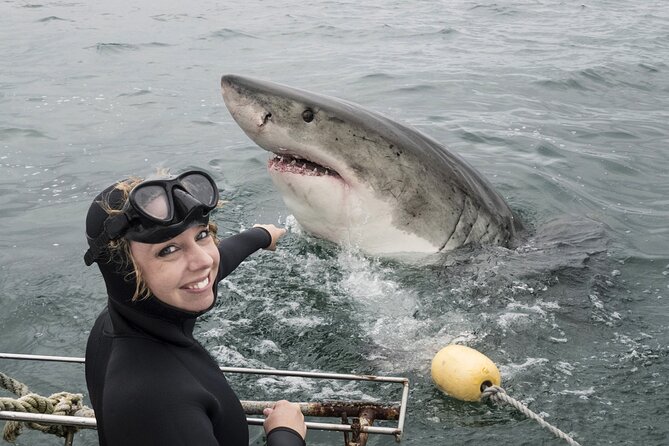 Cape Town: Shark Cage Diving & Penguins Tour to Gansbaai with private transfers - Leaving Cape Town before the roads fill