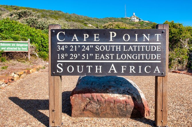 Cape Town Shore Tour: Table Mountain, Penguin & Cape Point - Boulders Beach: African penguins up close