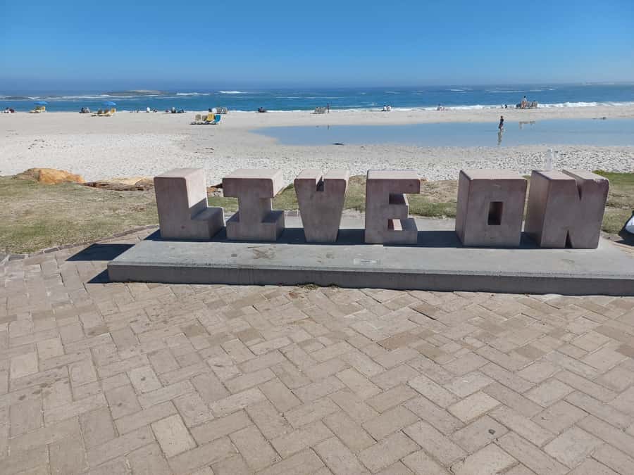 Cape Town: Table Mountain and Penguins Private Guided Tour - Practical value, access, and pace