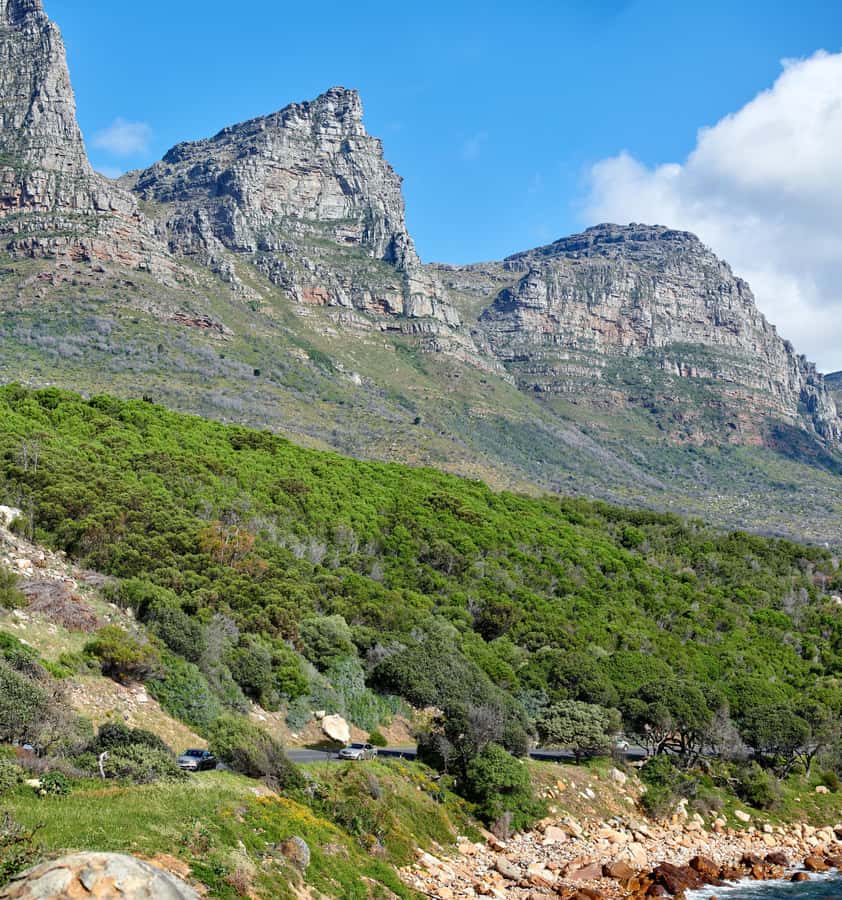 Cape Town: Table Mountain, Cape of Goodhope & Penguins Tour - Chapman’s Peak Drive and the Twelve Apostles