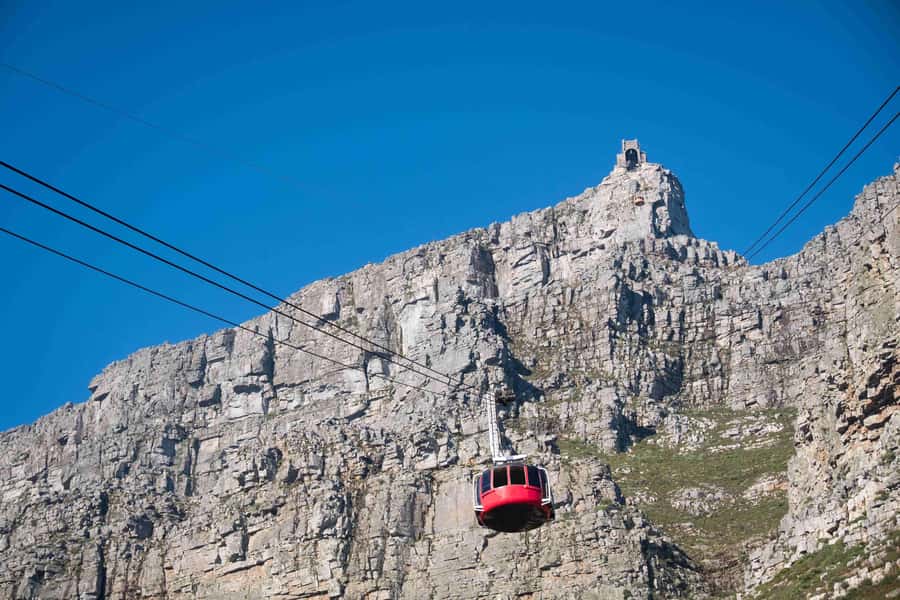 Cape Town: Table Mountain, Cape Point, and Penguins Tour - Key points at a glance