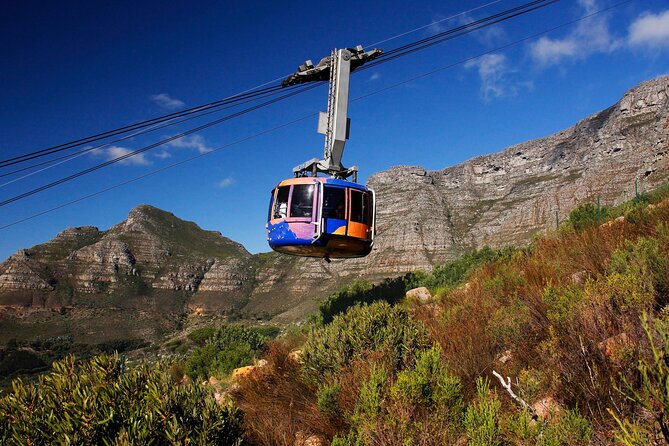 Cape Town Table Mountain Cape Point Penguins Full-Day Private Tour - Why this route works for a first Cape Town day