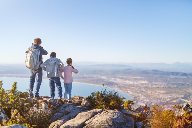 Cape Town Table Mountain Cape Point Penguins Full-Day Private Tour - Table Mountain gives you the city from above