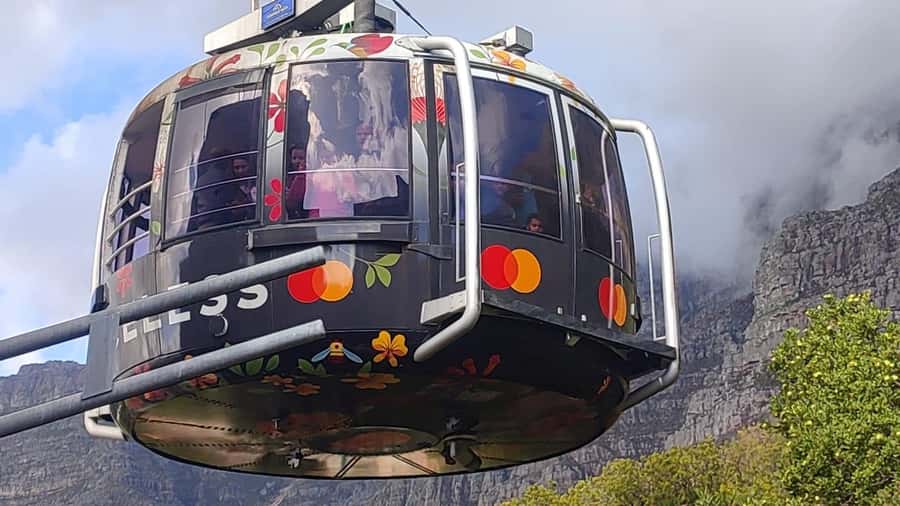 Cape Town: Table Mountain, Cape Point, & Penguins Group Tour - Camps Bay, Hout Bay, and Chapman’s Peak