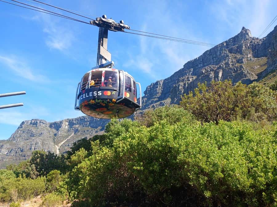 Cape Town: Table Mountain, Cape Point, & Penguins Group Tour - Guides and the feel of the day