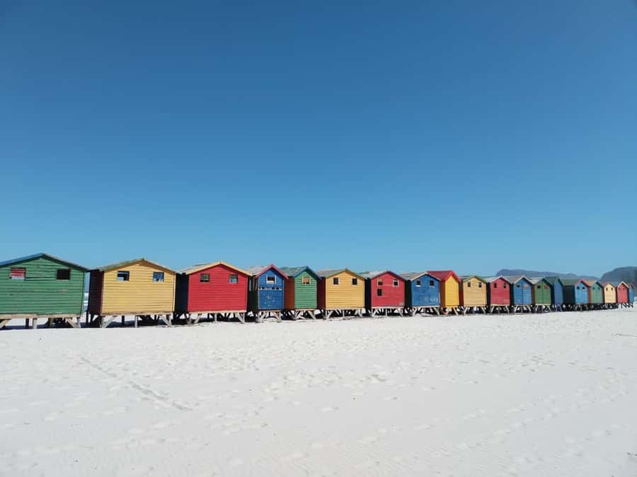 Cape Town: Table Mountain,Cape Point & Penguins Private Tour - Key points to know before booking