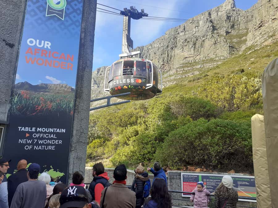 Cape Town: Table Mountain,Cape Point & Penguins Private Tour - Starting above the city at Table Mountain
