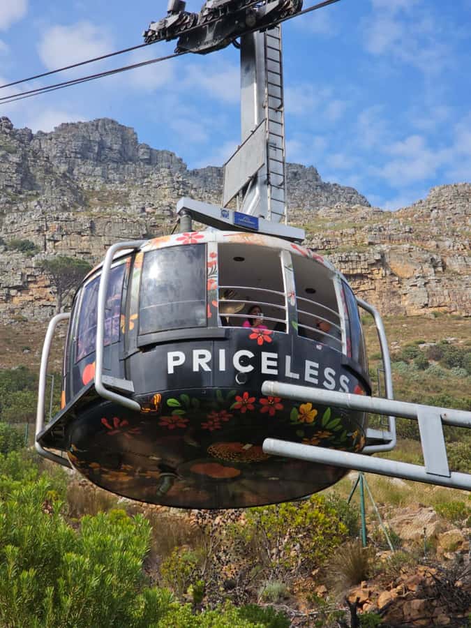 Cape Town Table Mountain Penguins & Cape Point All-inclusive - Riding the Table Mountain cable car