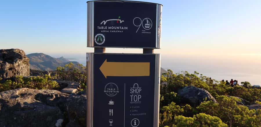 Cape Town: Table Mountain, Penguins & Cape Point Group Tour - Boulders Beach and the African penguins