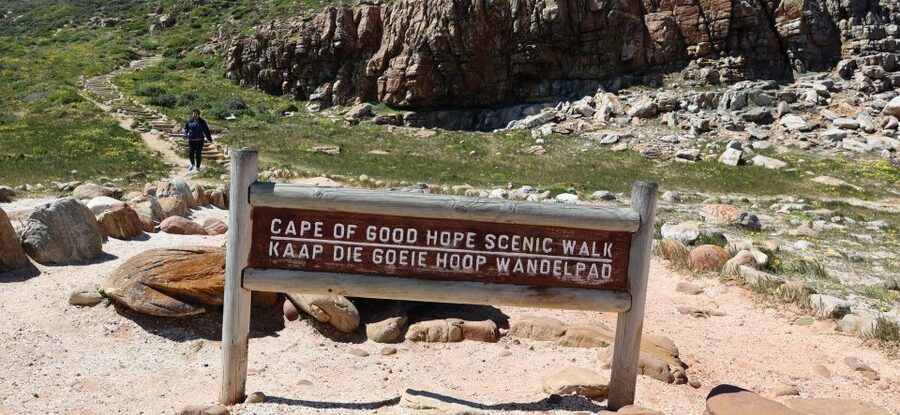 Cape Town: Table Mountain, Penguins & Cape Point Group Tour - What the $46 price really includes