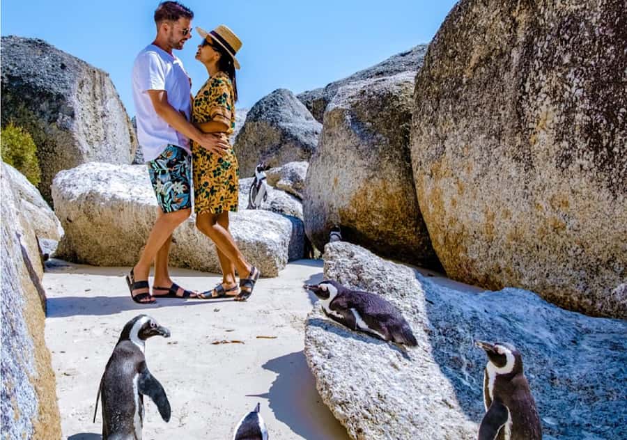 Cape Town: Table Mountain, Penguins & Cape Point Shared Tour - St. James Beach closes the circuit