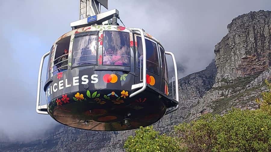 Cape Town: Table MT, Cape Point & Penguins Instagram Tour - One Day, Three Cape Town Essentials