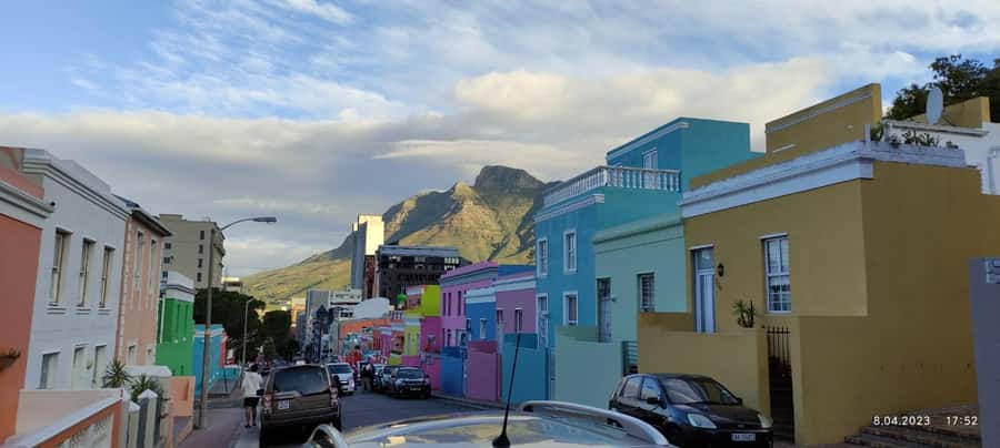 Cape Town: Table MT, Cape Point & Penguins Instagram Tour - A Short Ostrich Farm Stop