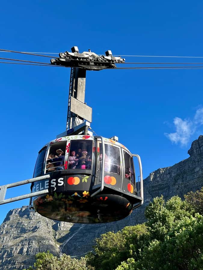 Cape Town Tour: Table Mountain, Penguins & Cape Point+Pickup - Table Mountain delivers the day’s biggest view