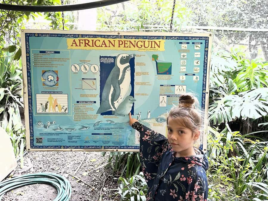 Cape Town: World of Birds & Animal Sanctuary - Why the $10 price offers good value