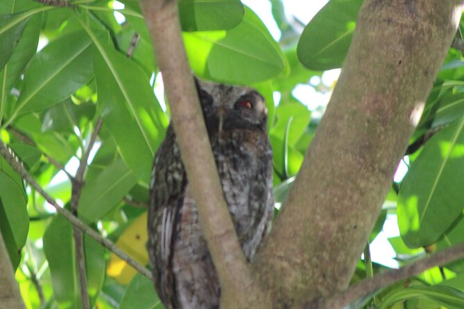 Caroni Bird Sanctuary Tour - Is $75 a fair price?