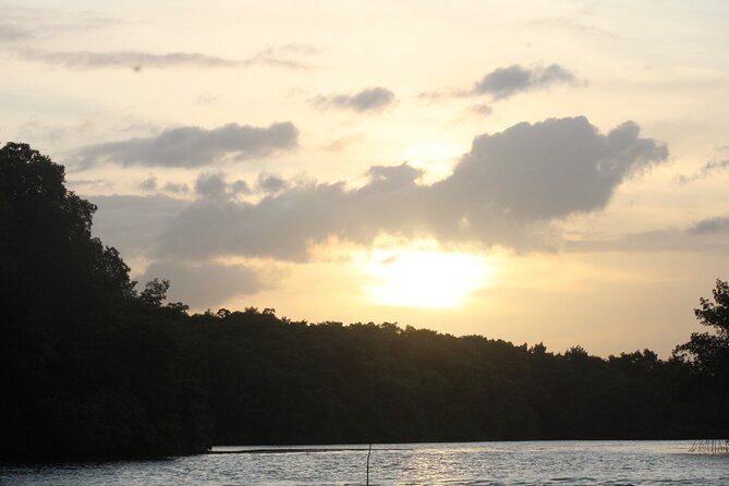 Caroni Bird Sanctuary Tour - Who will enjoy this Caroni experience most