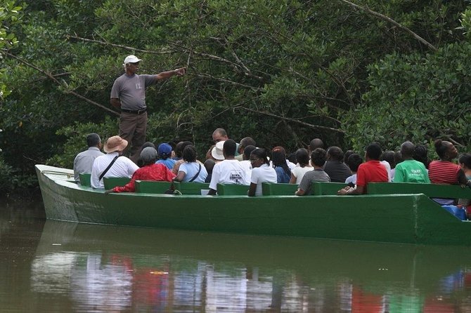 Caroni Bird Sanctuary Tour - What you may see from the boat