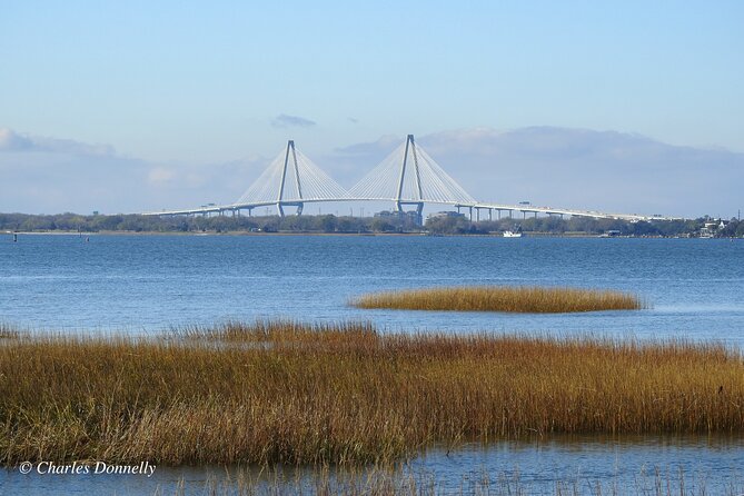 Charleston Bird Watching Tour - What the guide adds to a short outing