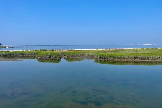 Charleston Bird Watching Tour - Practical details that affect your decision