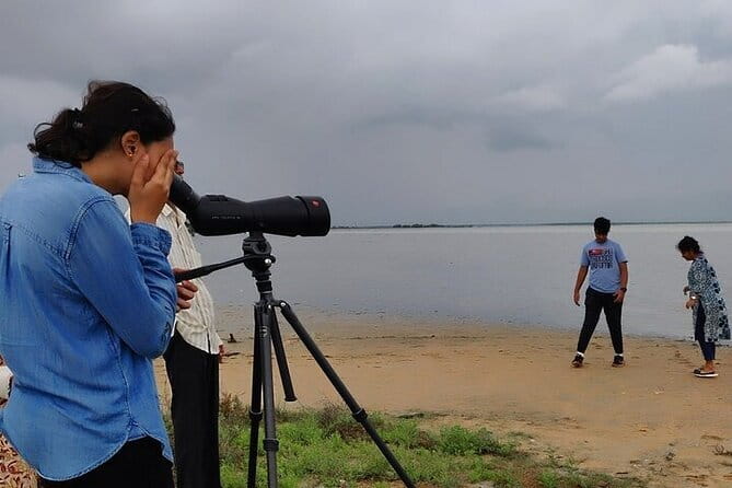 Chennai, Birding with Spotting Scope & Photography 2-3 hours - Finding birds with sound, sight, and patience
