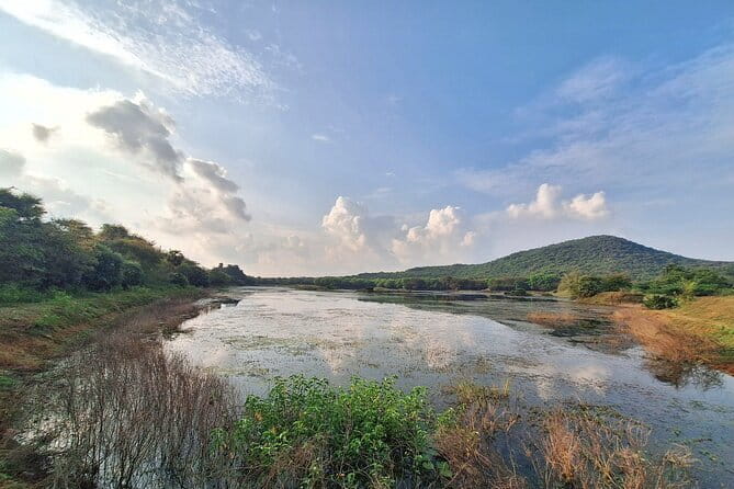 Chennai, Birding with Spotting Scope & Photography 2-3 hours - A private outing that works for mixed abilities