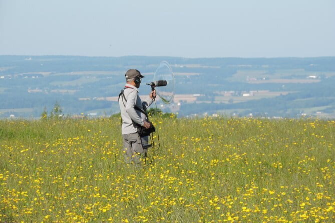 Chennai, Birding with Spotting Scope & Photography 2-3 hours - Pallikaranai and similar habitats