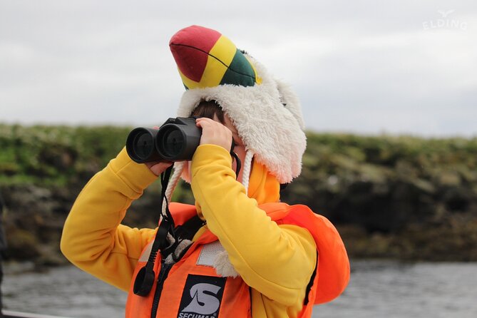 Classic Puffin Watching Cruise from Downtown Reykjavík - Weather, sea conditions, and the right clothing