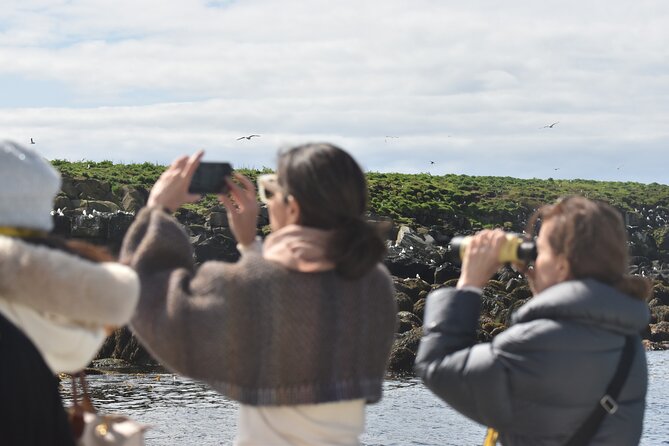 Classic Puffin Watching Cruise from Downtown Reykjavík - Three islands, one protected bird habitat