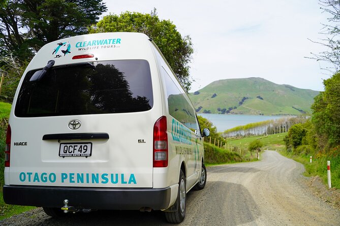 Clearwater Private Penguin & Wildlife Tour from Port Otago (5hrs) - Seals, sea lions, birds, and albatross