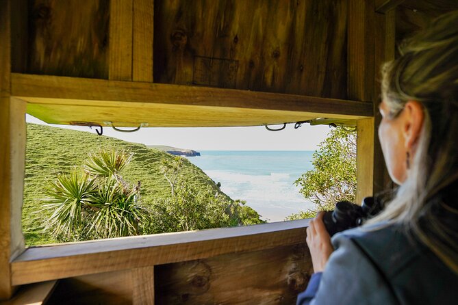 Clearwater Private Penguin & Wildlife Tour from Port Otago (5hrs) - Dunedin Railway Station and the wider setting
