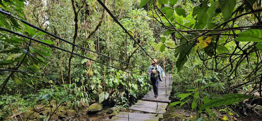 Cocora: trek to the hummingbirds sanctuary - Key points at a glance