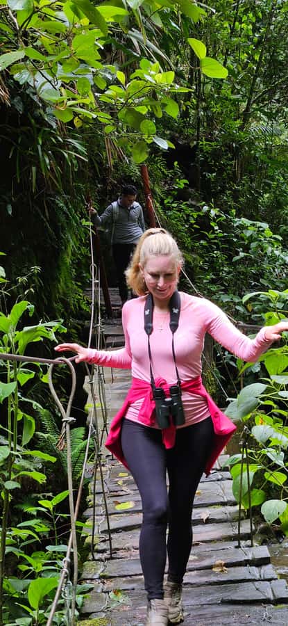 Cocora: trek to the hummingbirds sanctuary - Into cloud forest and toward the waterfall
