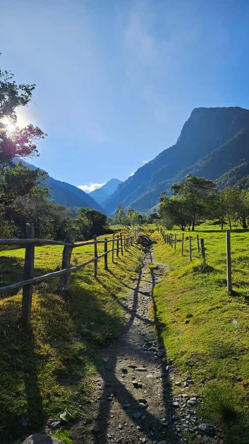 Cocora: trek to the hummingbirds sanctuary - Acaime Hummingbird House and the traditional drink