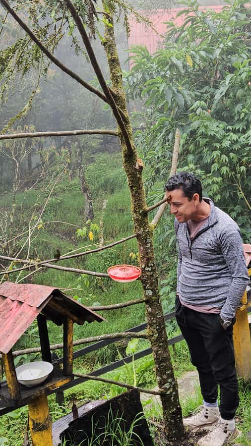 Cocora: trek to the hummingbirds sanctuary - From Salento to the open Cocora grasslands