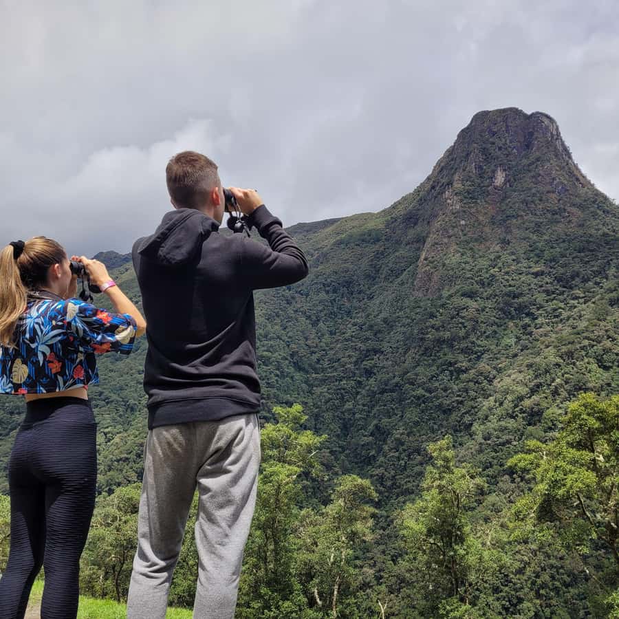 Cocora Valley: Route of the Hummingbirds + breakfast & lunch - Why this Cocora walk feels different