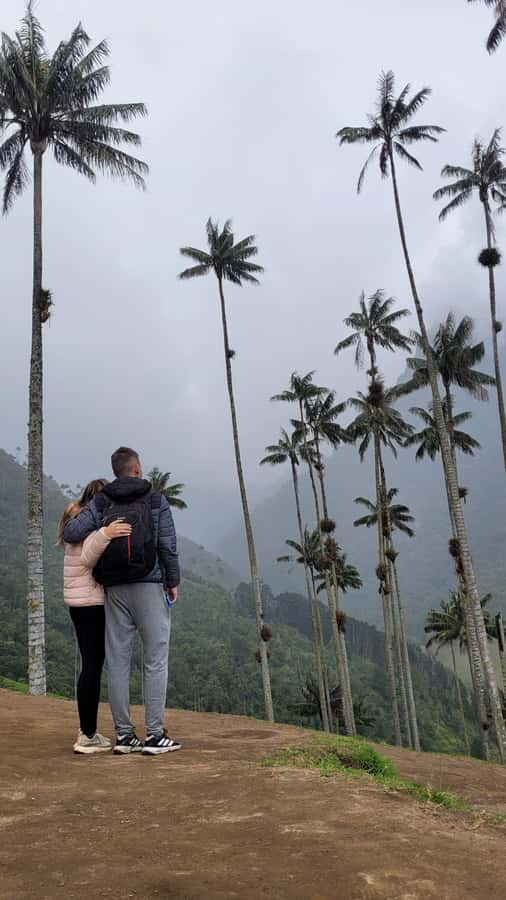 Cocora Valley: Route of the Hummingbirds + breakfast & lunch - A picnic above the valley