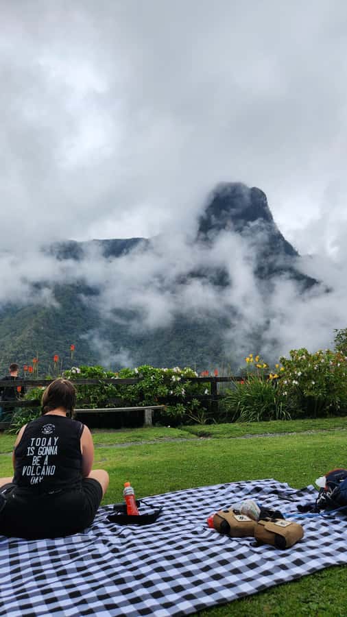 Cocora Valley: Route of the Hummingbirds + breakfast & lunch - The palm-lined descent