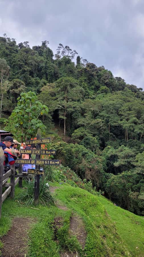 Cocora Valley: Route of the Hummingbirds + breakfast & lunch - What the guide adds to the day