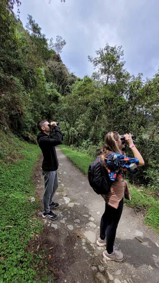 Cocora Valley: Route of the Hummingbirds + breakfast & lunch - Who should book this experience?