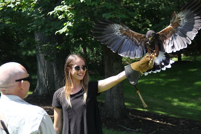Colorado Springs Hands-On Falconry Class and Demonstration - Meeting the hawks, owls, falcons, and eagles